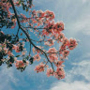 Meet your Posher, Janessa